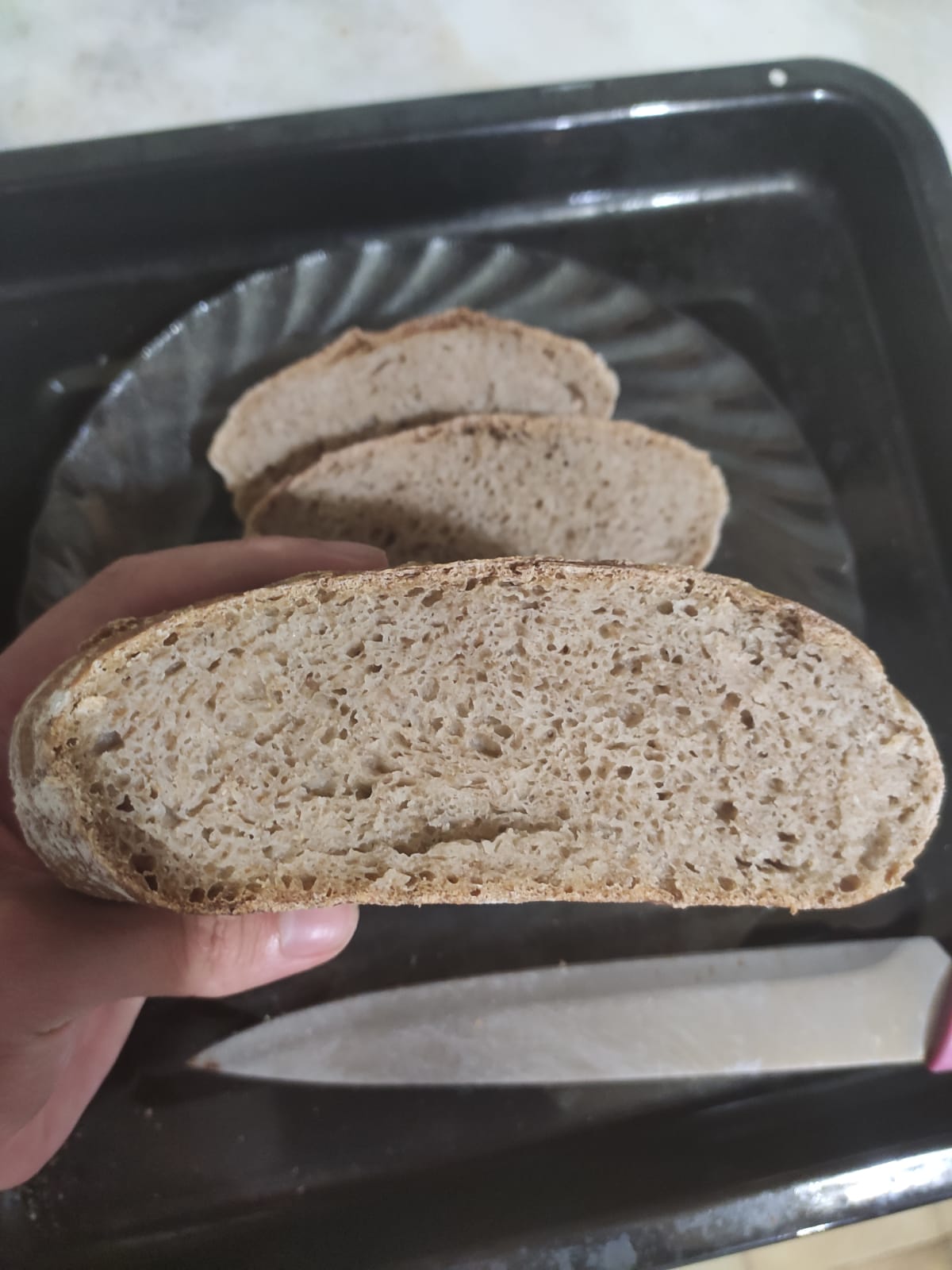 Sourdough starter experiment with probiotic capsule The Fresh Loaf